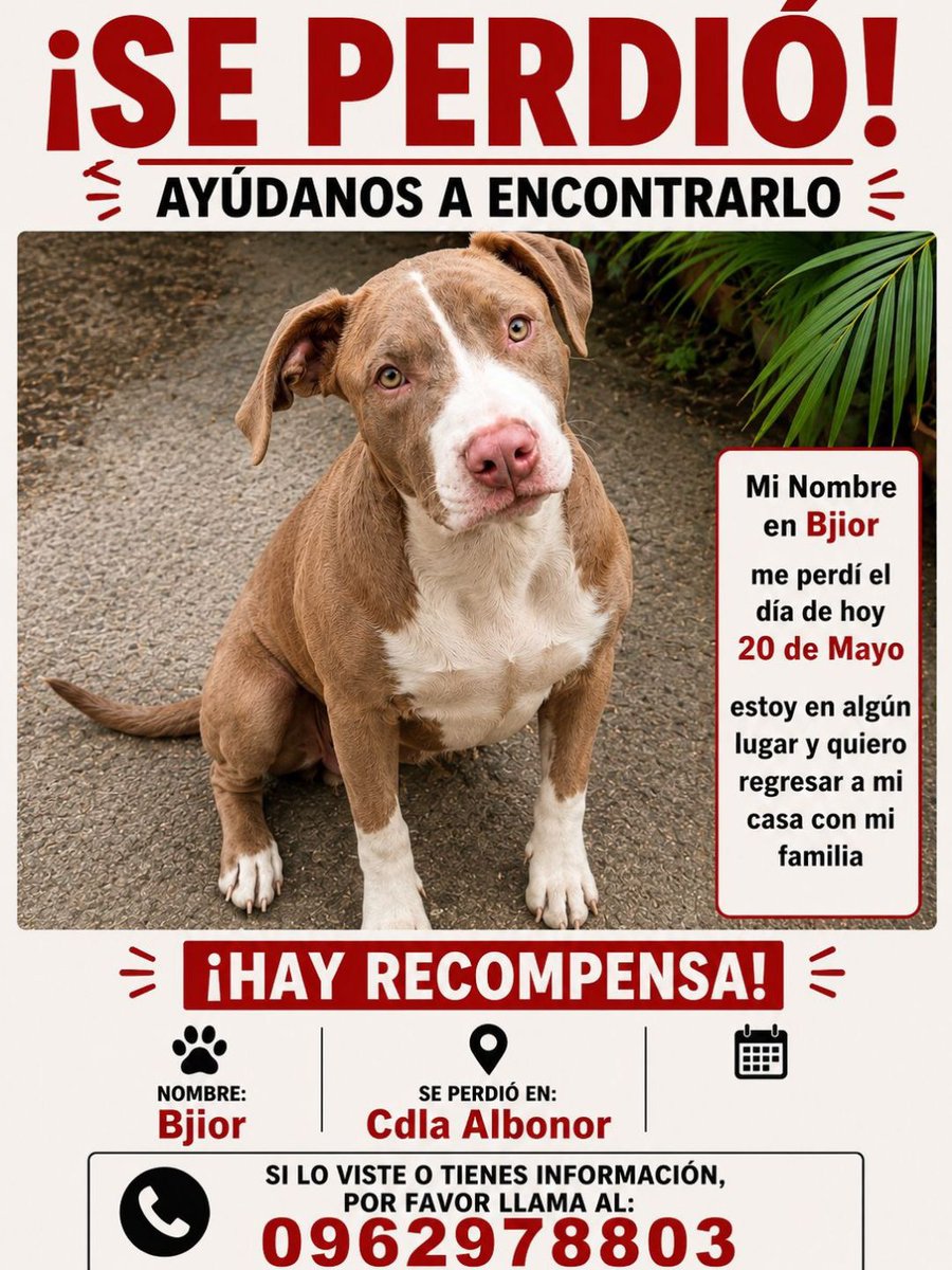 Alerta me perdi tweet media