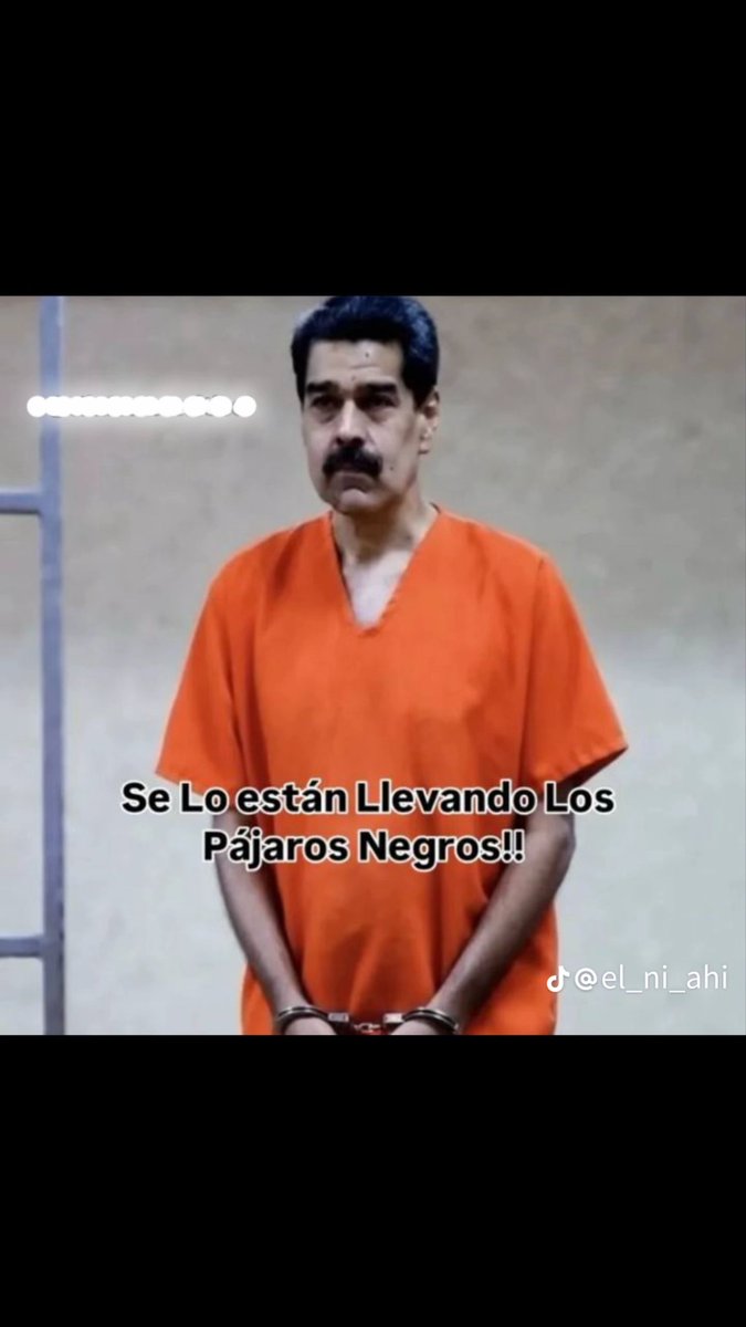 Nando Rodríguez tweet media