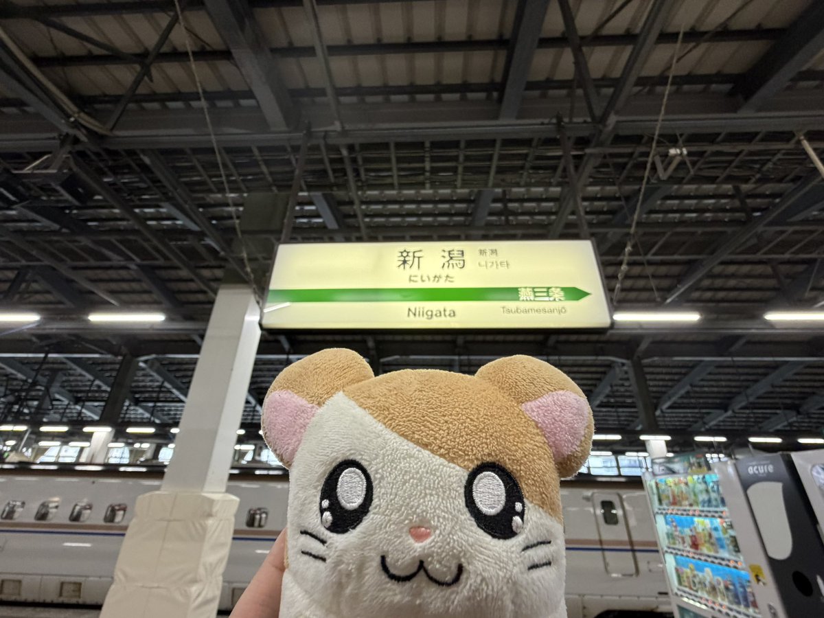 たす🐹 tweet media