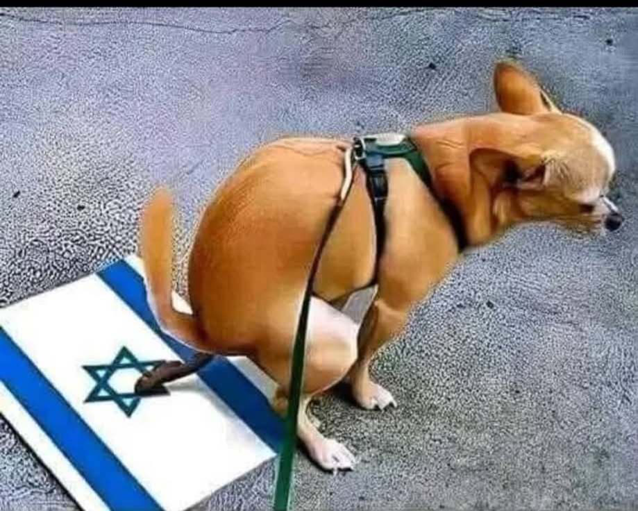 Chelosun tweet media