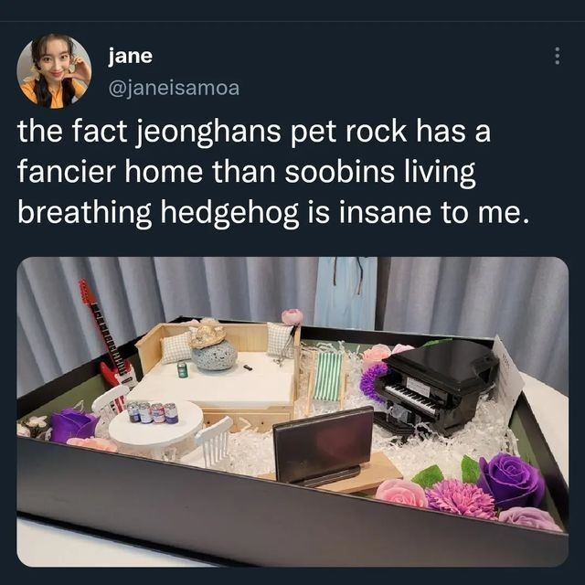 Carat Hall Of Fame tweet media