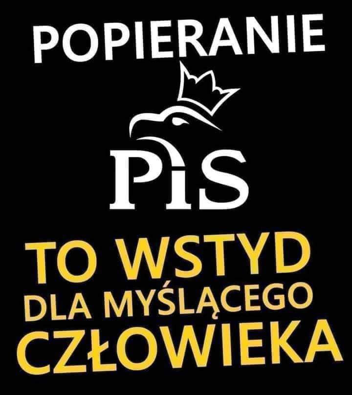 Grabek tweet media