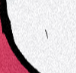 pqdpdb (COMMS OPEN!) tweet media