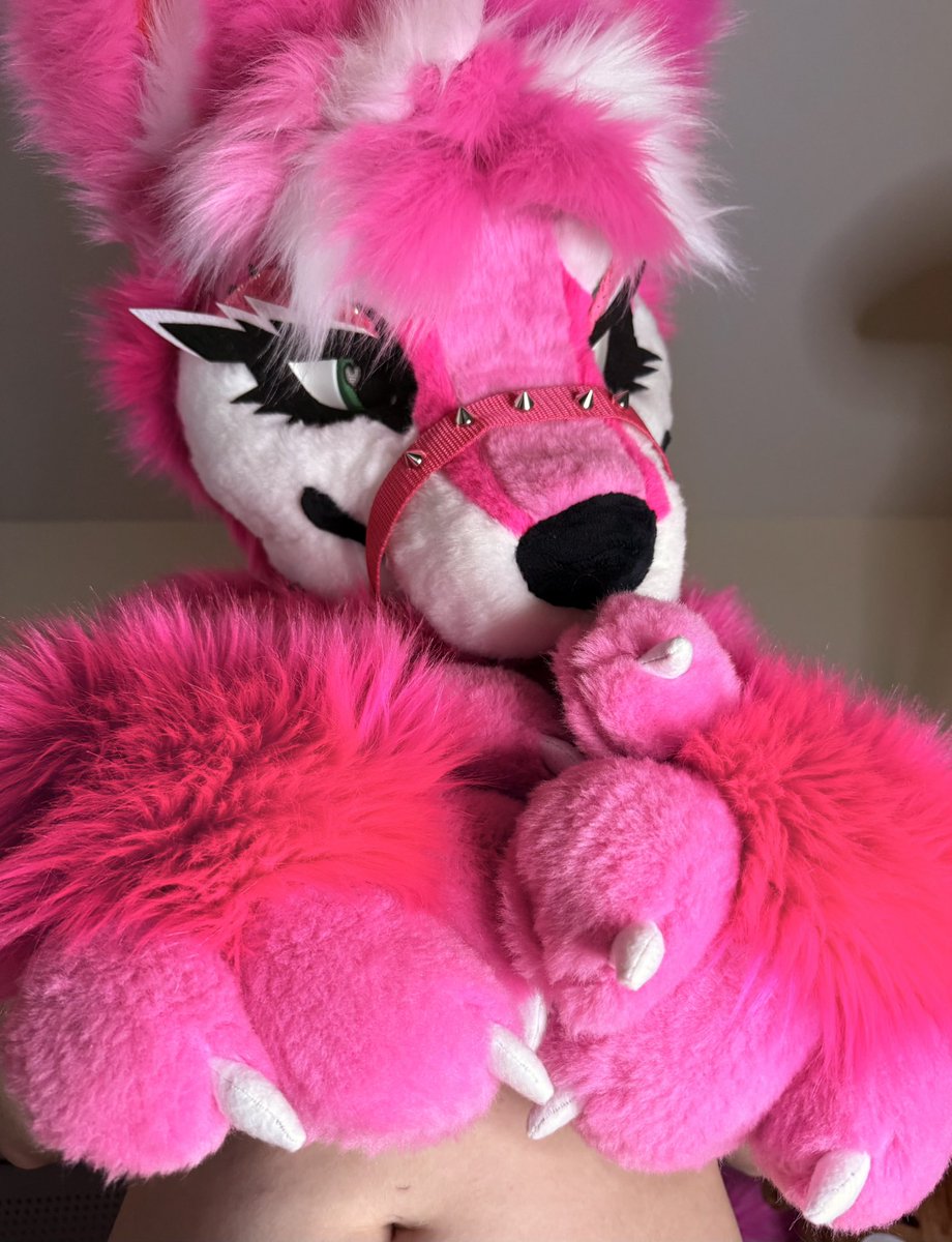 foxy roxy 🐾 🦊 ! OF & Fansly in bio~ tweet media