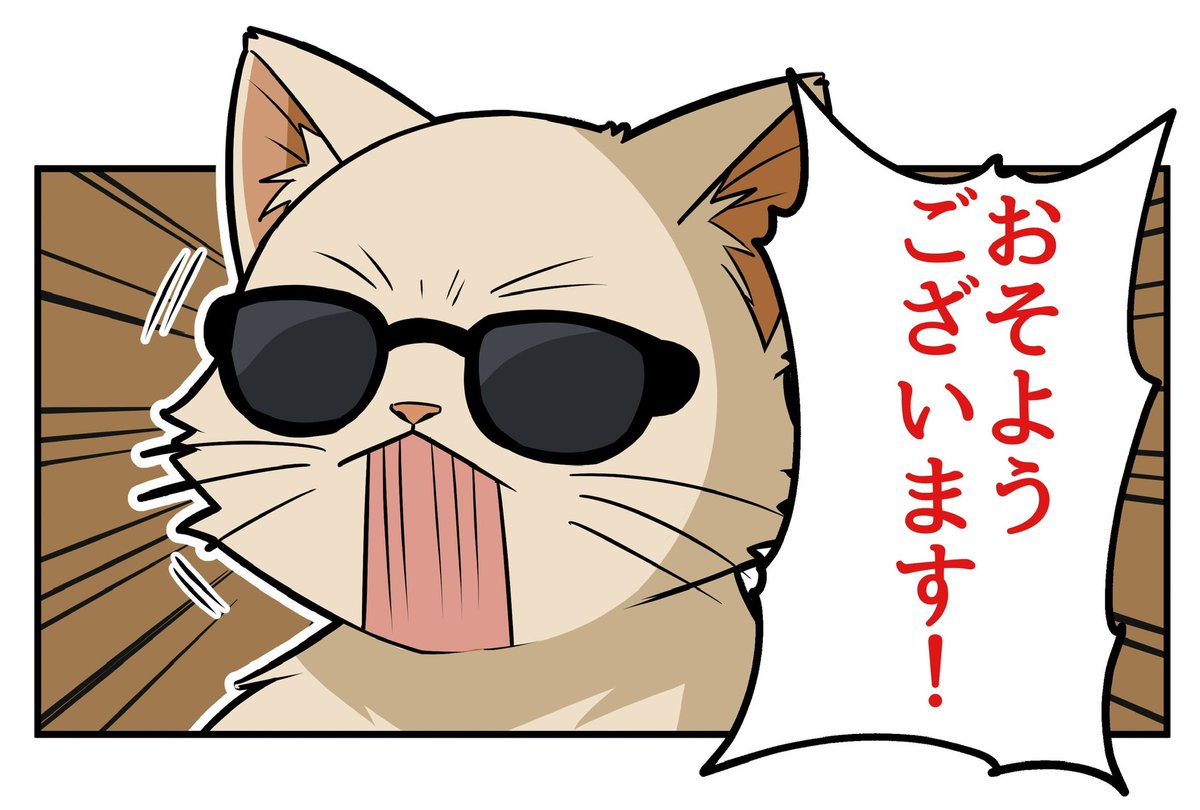 セラフィー SeLaphy tweet media