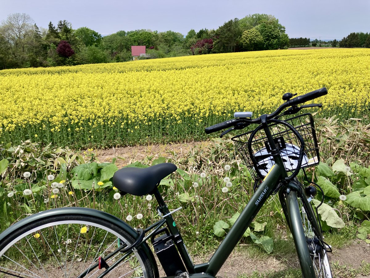 今日借りたサイクロン号🚲 人生初のアシスト付、むっちゃ楽😀 7,8年