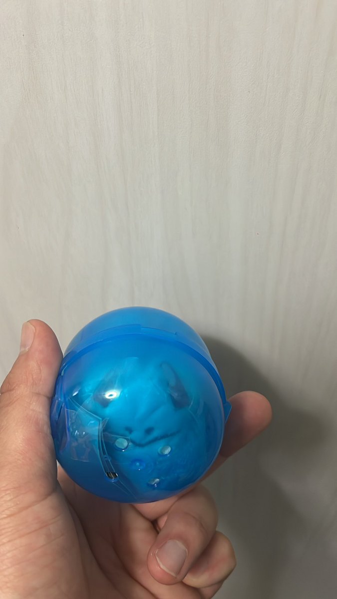 茶々丸 tweet media
