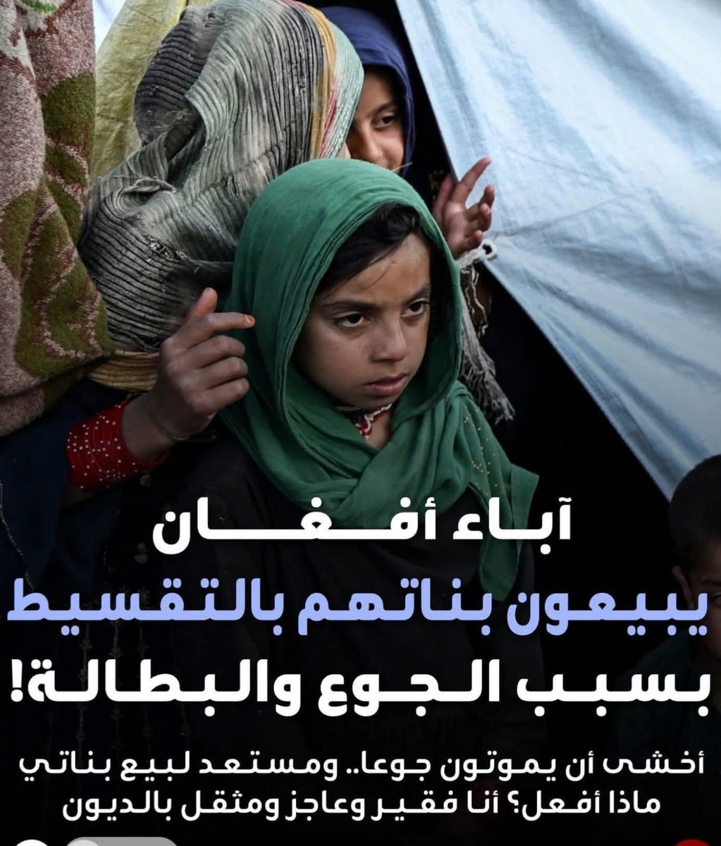 قبطي tweet media