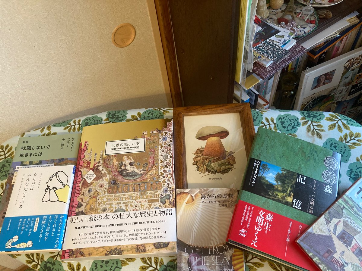 takibi_kinoko tweet media