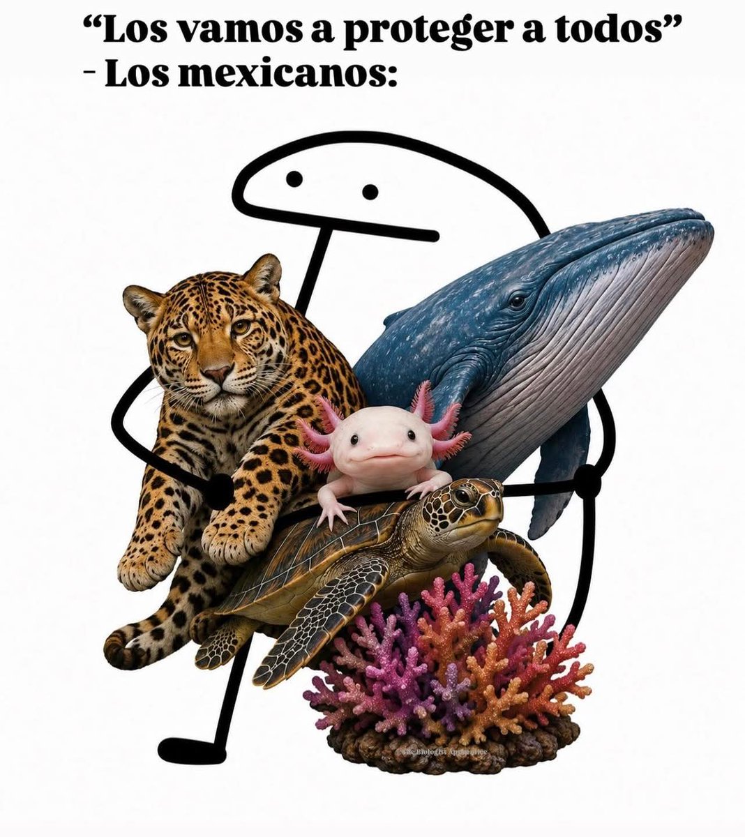En Júpiter tweet media