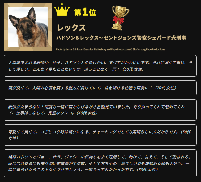 アクションチャンネル(旧AXN 海外ドラマ) tweet media