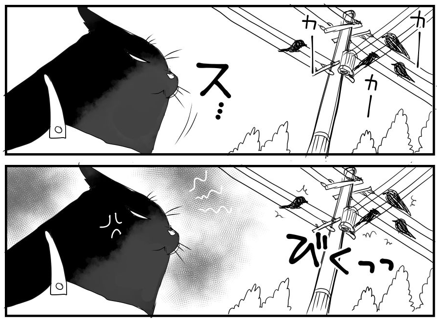 Raiko_CB's tweet photo. @Daiyu_CBU https://t.co/jWYFBfNr3d