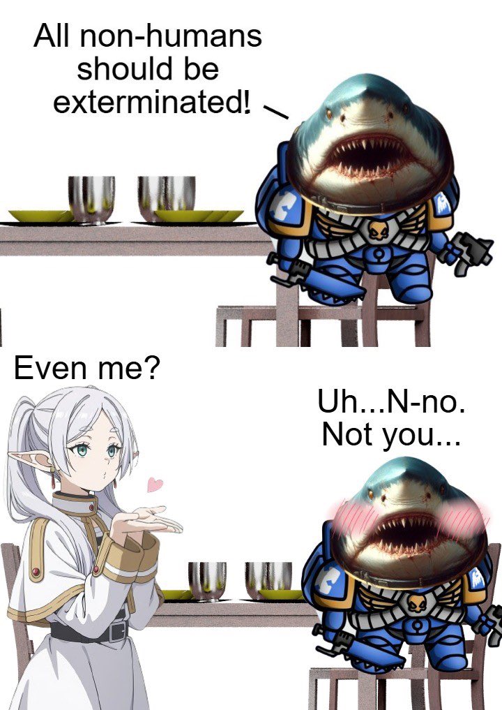 Sharky tweet media