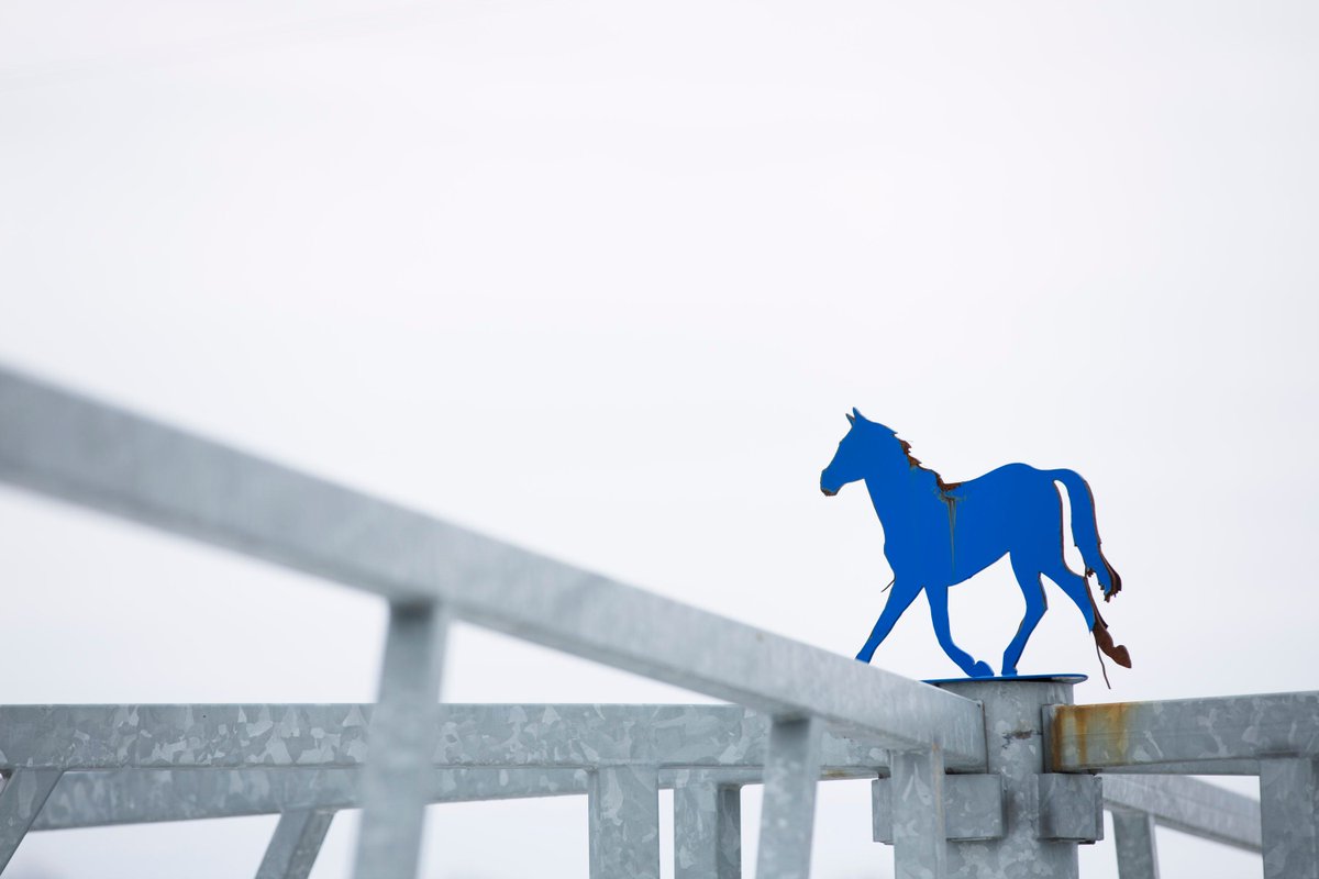 Blue Chip Farms tweet media