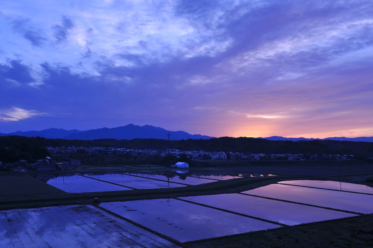 5009676's tweet photo. 水張り田の朝🌄 https://t.co/3JliL72gdm