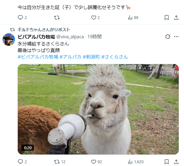 irrelevant_f's tweet photo. @LikeMigrant @AtomNKamipro 真面目な話だったはずなのに
この流れはだめだった https://t.co/rtbE6W5t3h