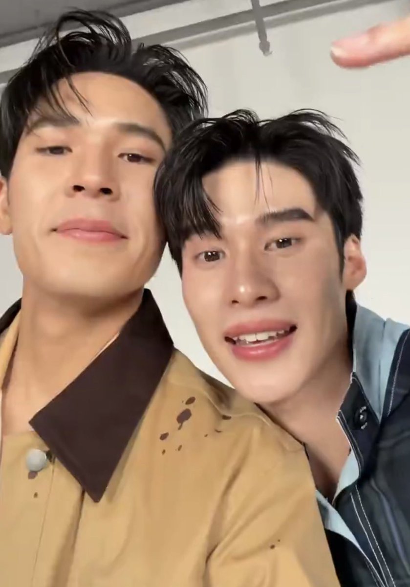 tm ‧⁺ — 🐶 tweet media