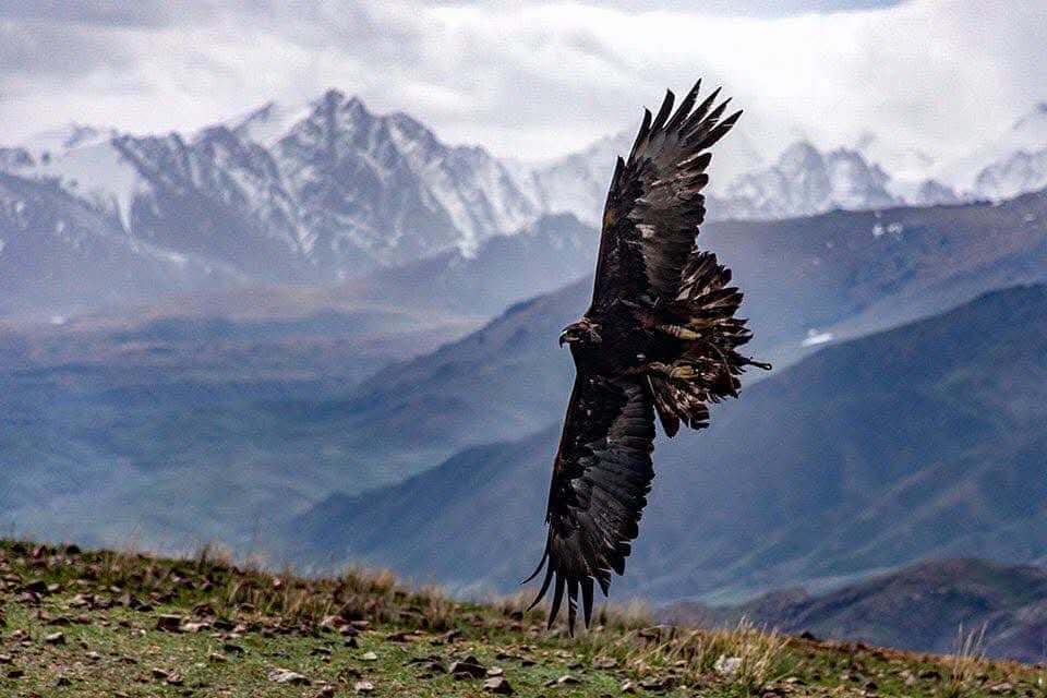 csakdag's tweet photo. #21Mayıs1864, işgalci ve sömürgeci vahşilerin soykırımdan geriye kalan Çerkezlerin anayurtlarından sürgün edildiği gündür.

Hey koca Şamil!
Yalçın dağların kartalı.
İzinden gider dağlı çocukları .
Gece kurt yavrularken geldiler dünyaya.

Çam da bizim, kozalak da! https://t.co/bxvKRh5hKC