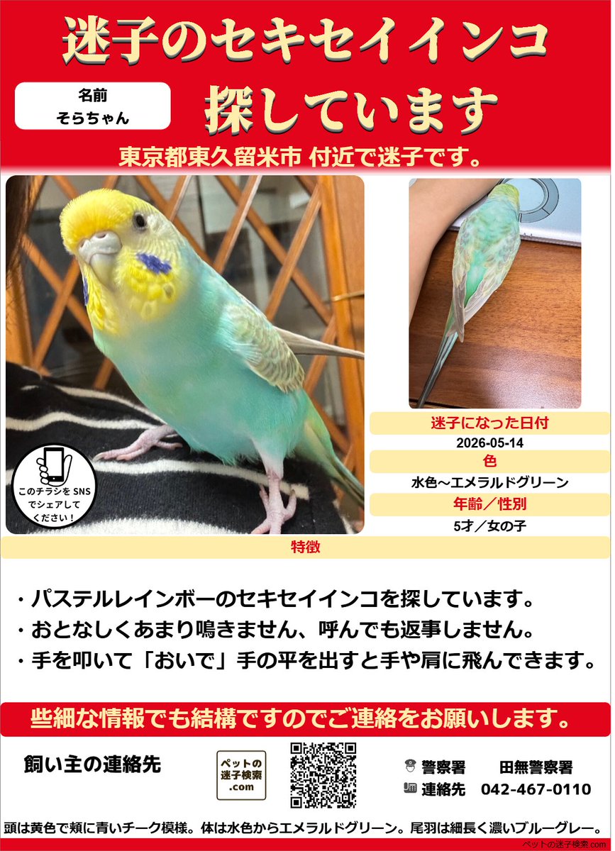 インコ様ご確認用ページ！