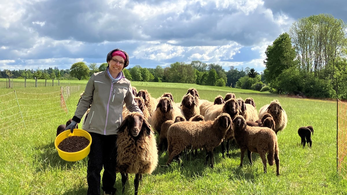 Susanne Krause und ihre Familie halten auf ihrem Bioland-Hof in  Steinhausen/Rottum Braune Bergschafe. Die Wolle lassen die Biobauern seit  Kurzem zu Dnger-Pellets verarbeiten. https://t.co/nC3LhlyaOQ
