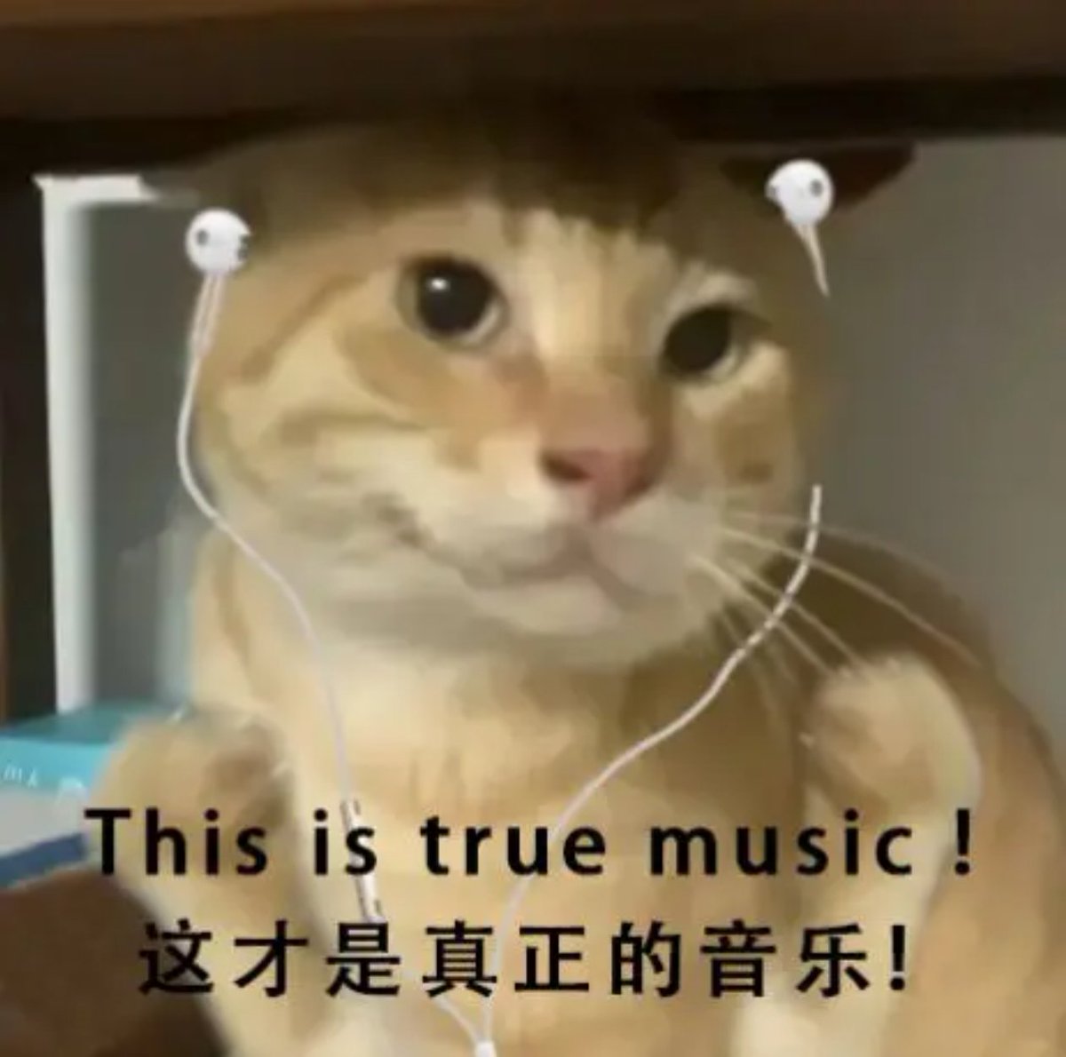 hajimi_CTO_BNB's tweet photo. 【哈基米第二届唱歌大赛 又双叒叕开始啦】

🔶比赛规则：
此推文评论区或引用此推文发布你的哈基米音乐演唱作品，并附带 #哈基米  #hajimi 标签。

【相关音乐各大社交媒体与哈基米社区群组皆有海量资源，可模仿演唱也可自主原创，演唱时间不得小于20秒】

🔶活动时间： 
5/21/至5/23日下午3点整截止。

🔶奖励标准：
抽取10名参与用户各奖励88USDT/等量哈基米代币空投。

🔶注意事项：
凡参赛人员需关注本官方账号，点赞转发本条推文。
比赛结束后活动负责人或官方账号会公布获奖人员登记bsc地址。

如有其他问题，欢迎加入社区询问：
哈基米音乐账号：@hajimi_music
哈基米官方大群链接:https://t.co/dokdTuVV7z
哈基米音乐视频素材链接:https://t.co/p89L7jgfVS
-----------------------------------------------------------
[The 2nd Hajimi Singing Contest is Here Again!]

🔶Contest Rules: Post your Hajimi music performance in the comments section of this tweet or by referencing this tweet, and include the hashtag #hajimi.

[Related music is abundant on major social media platforms and Hajimi community groups. You can imitate the performance; the performance time must be at least 20 seconds.]

🔶Event Period: May 21st to May 23rd, 3 PM.

🔶Rewards: 10 participants will be randomly selected to receive an airdrop of 88 USDT/equivalent Hajimi tokens.

🔶Important Notes: All participants must follow this official account and like and retweet this tweet.

After the contest ends, the event organizer or official account will privately message the winners to register their BSC address.

For any further questions, please join our community: Hajimi Music Account: @hajimi_music
Hakimi Official Group Link: https://t.co/dokdTuVV7z
Hakimi Music Video Footage Link: https://t.co/p89L7jgfVS
