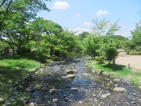 Kyoto_no_T's tweet photo. 京都市東山区の円山公園。
緑が深みを増してきました。
小川のほとりではシランが首を伸ばすように紫色の花を咲かせていましたよ。
https://t.co/zudQ1I4nCo #円山公園 #京都観光 #kyoto https://t.co/m0NsDVmQsJ