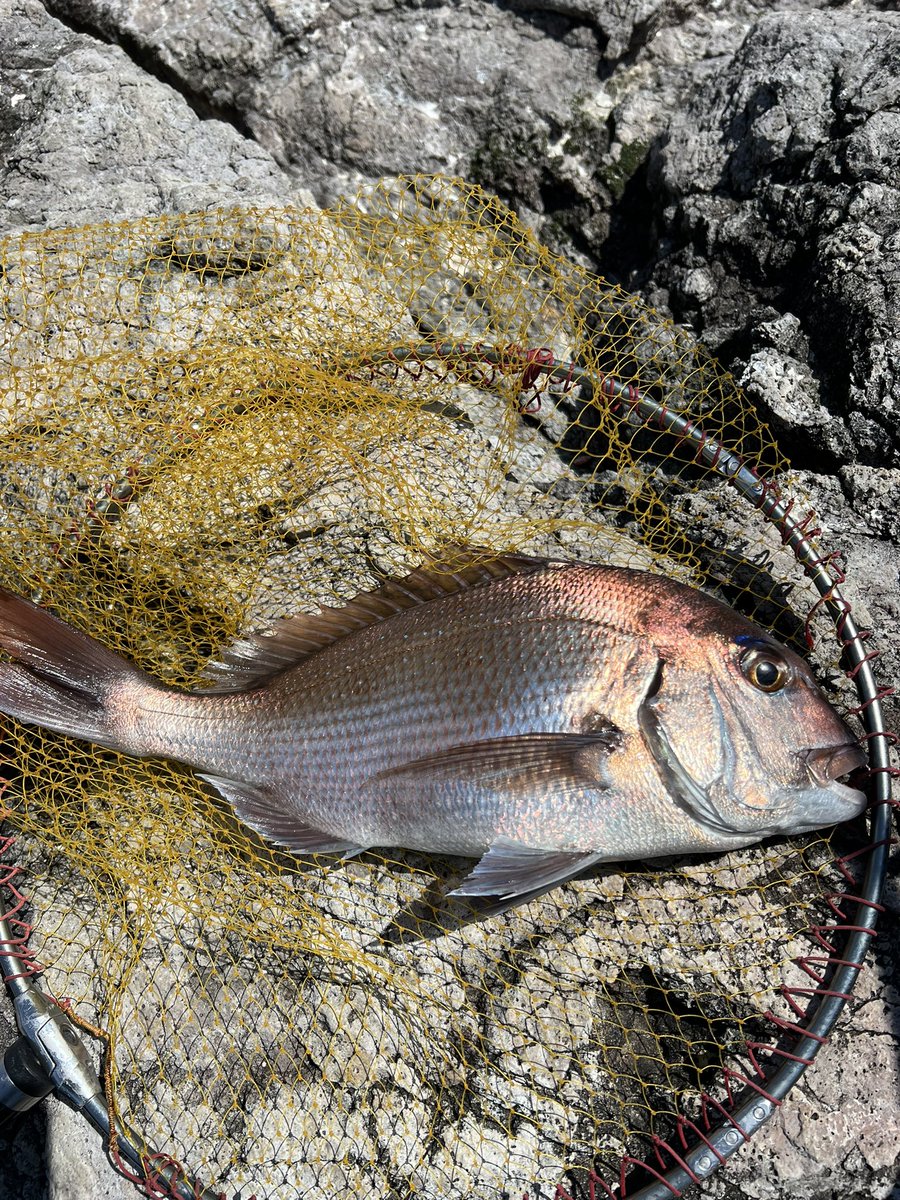 arayan9126's tweet photo. 月曜火曜2連休で久しぶりのフカセ🎣 https://t.co/cAh2adur5o