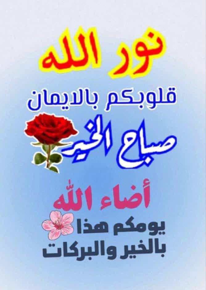 احمد الجبوري tweet media