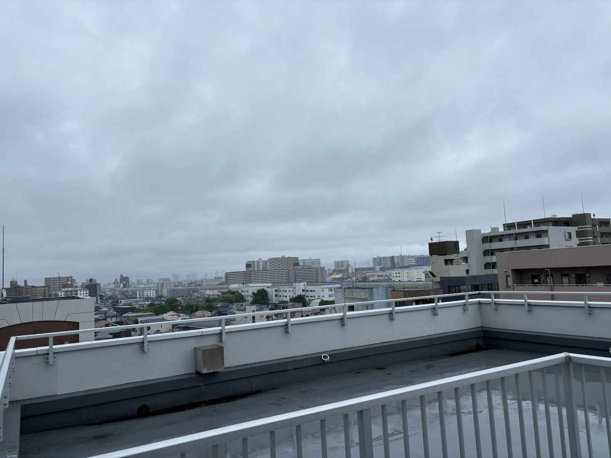 凡人 tweet media