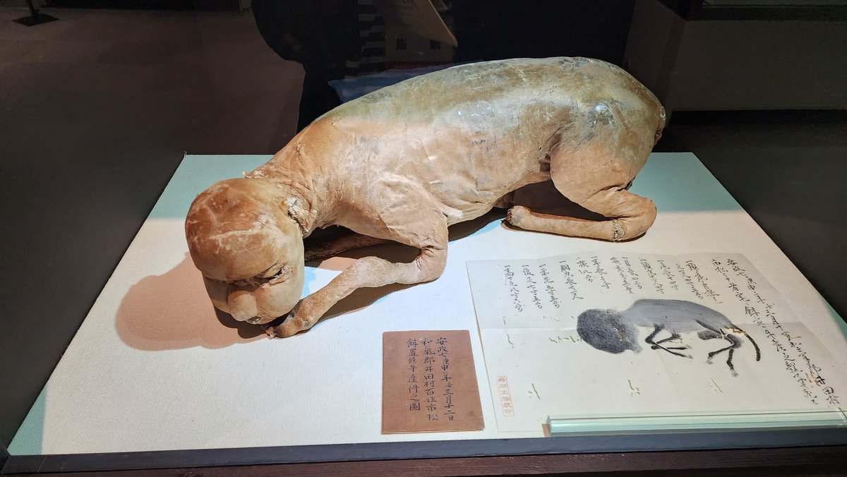 兵庫県立歴史博物館(姫路市)で開催中の特別展「妖怪・幻獣づくし」を