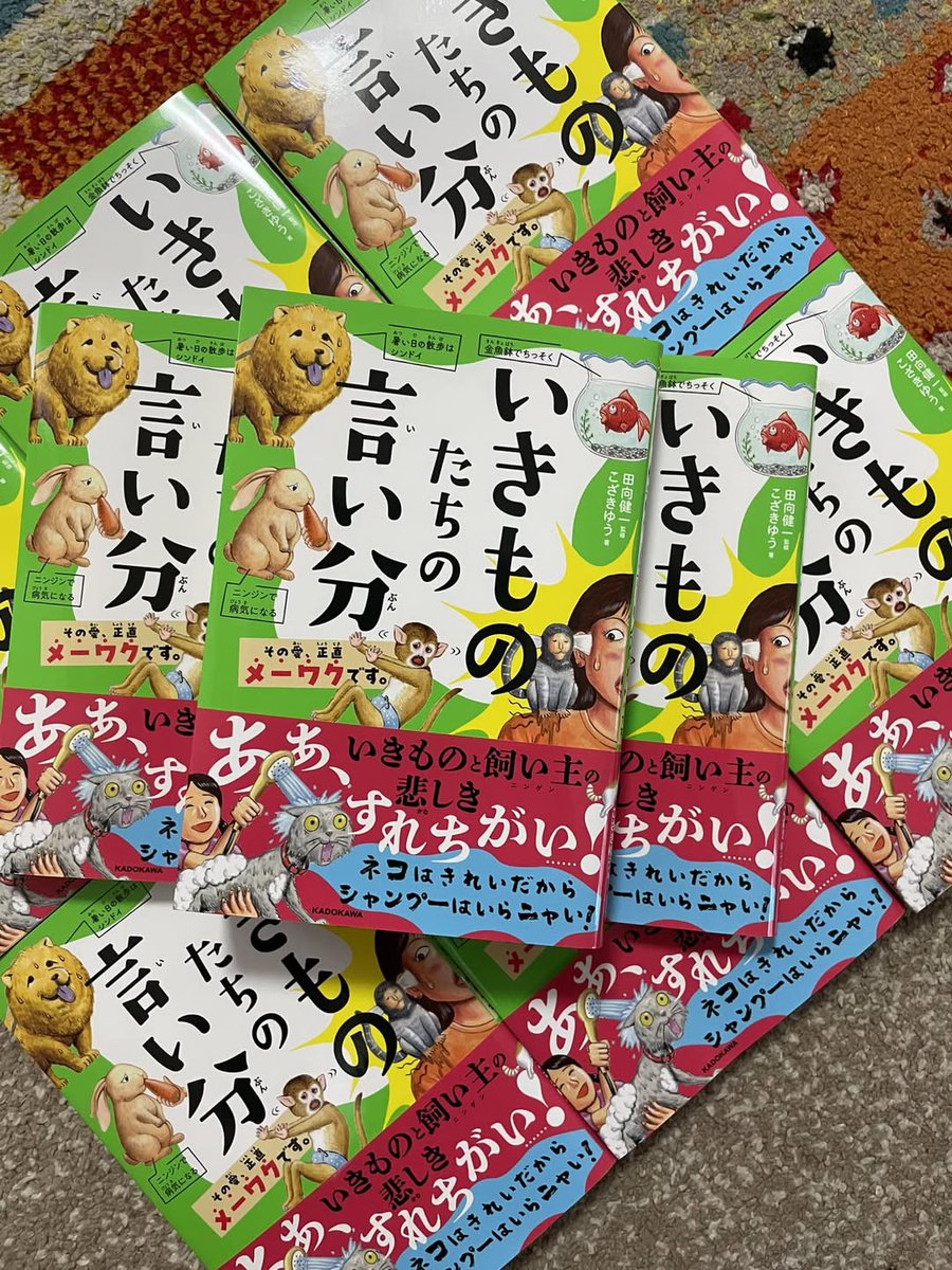 こざきゆう🐋児童書の人 tweet media