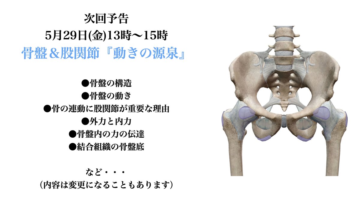 あんな・水のように波が伝わる體になる為の「動きの調律師」 tweet media