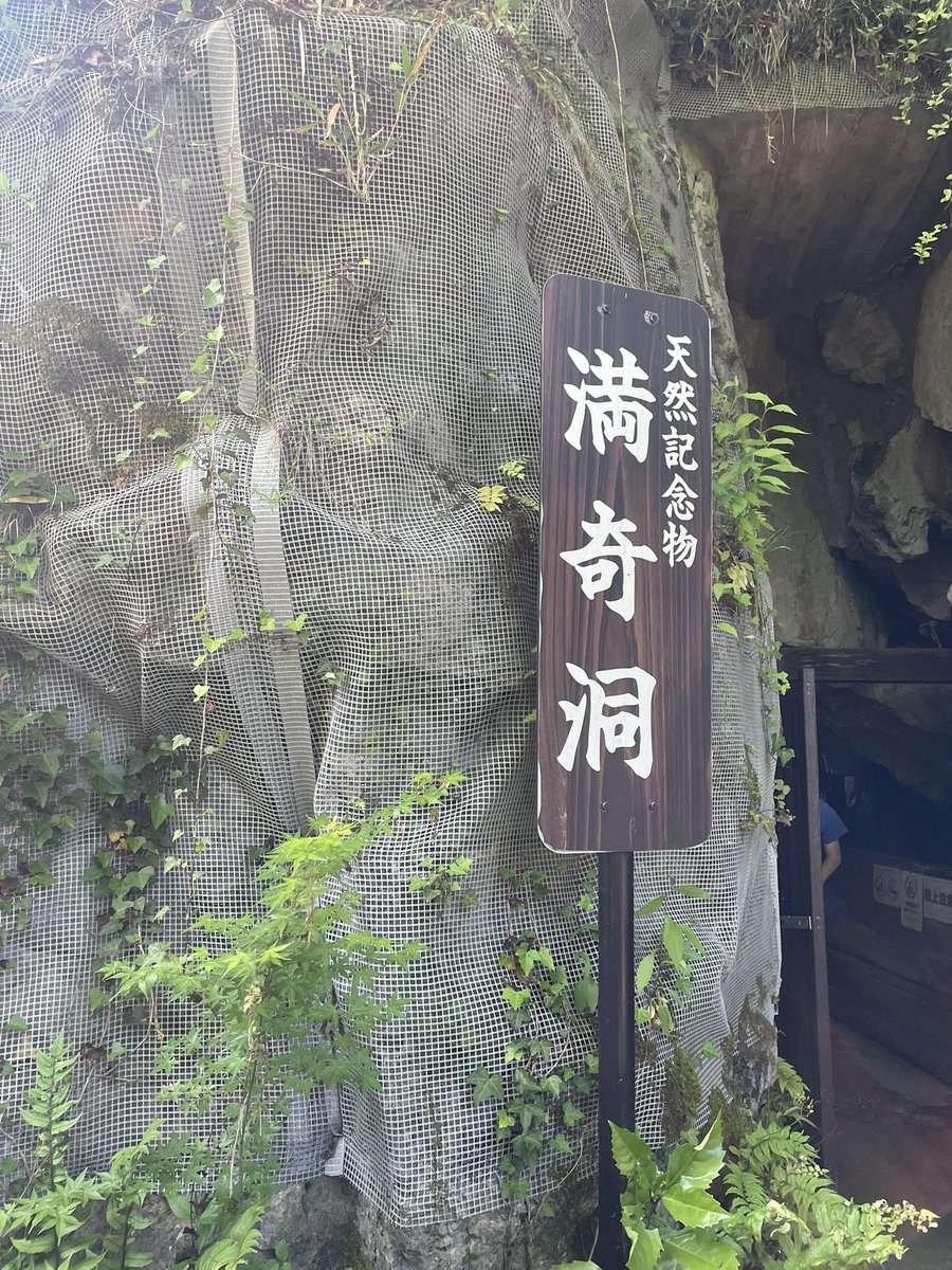 まぁ tweet media