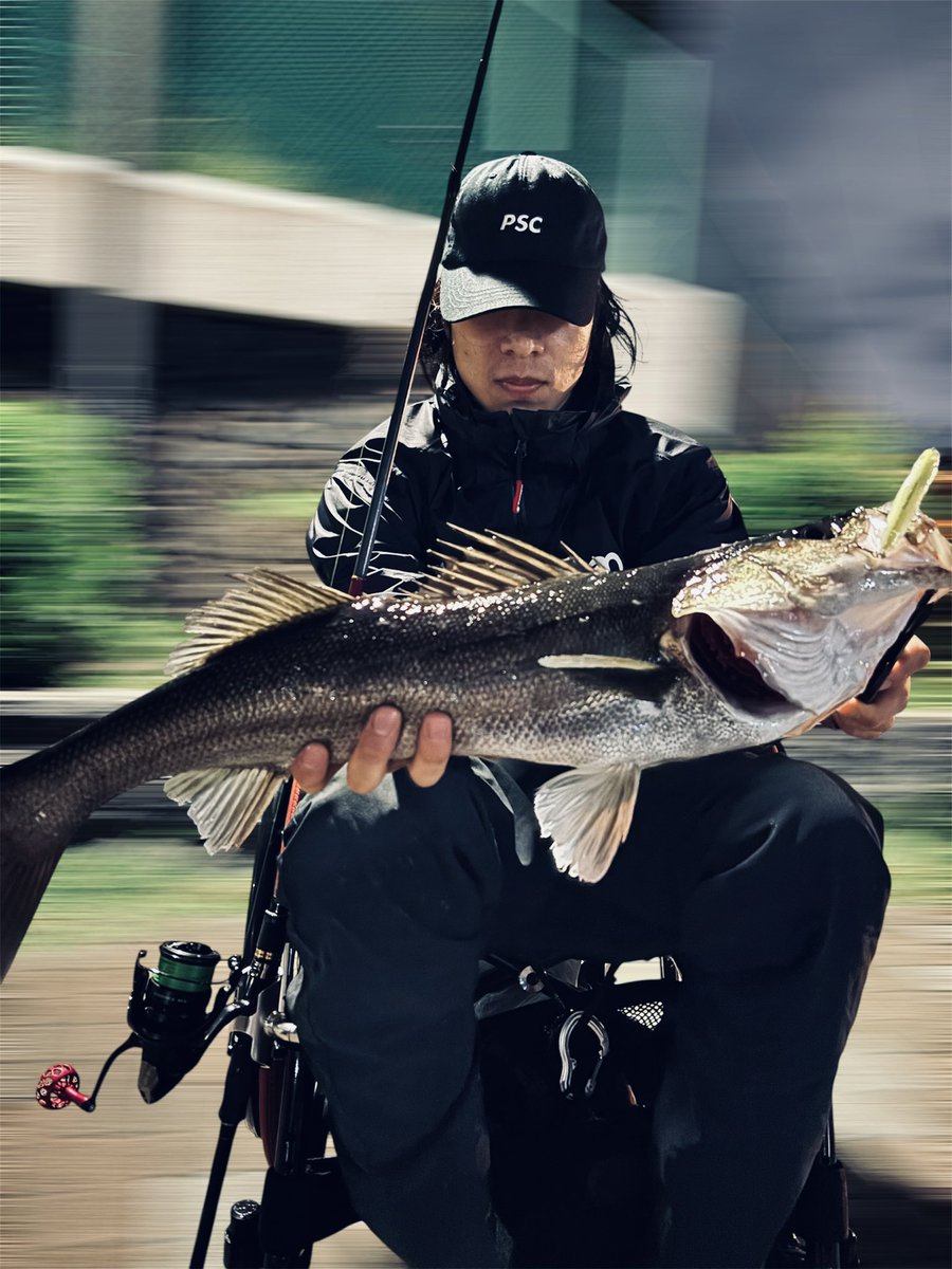 POP SEA CREW (ポップシークルー) (@popseacrew) / Posts / X
