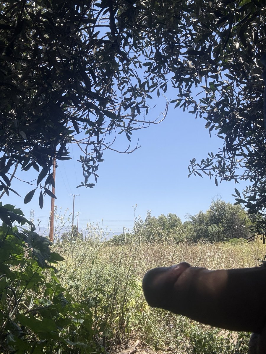 thicccn00dle's tweet photo. Went to the trails 😈👀🥵 https://t.co/eVDpottaSP