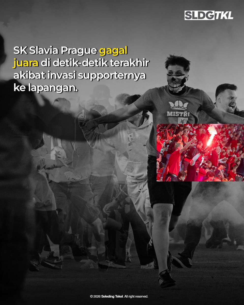 SLDTKL ⭐️⭐️⭐️⭐️ tweet media