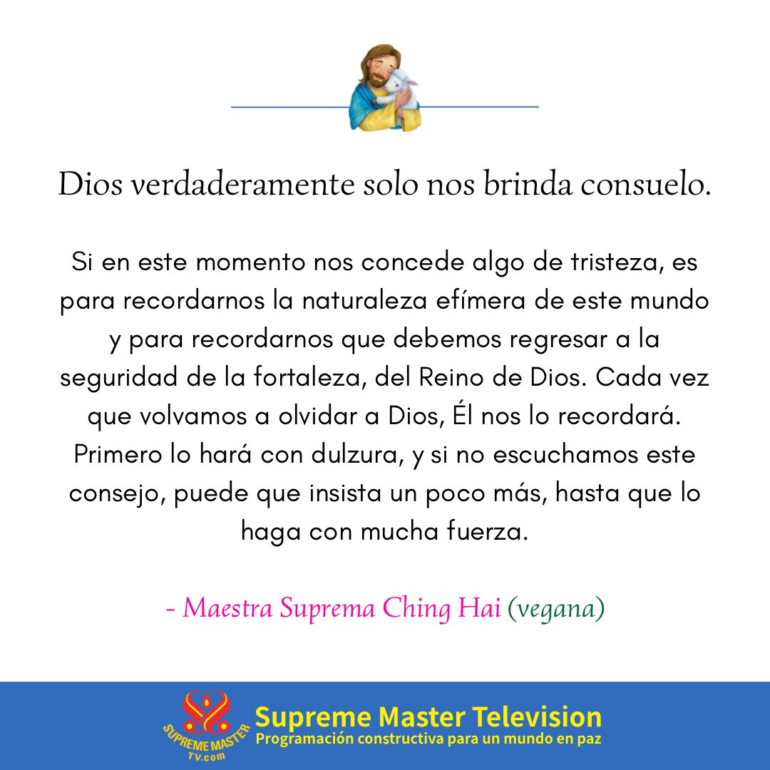 SupremeMasterES's tweet photo. 💛 No dudes en compartir nuestras publicaciones y difundir la bendición 💛 
✨✨✨✨✨✨✨✨✨✨

https://t.co/FONZtEYjnN

#suprememasterTV #suprememastertelevision #2026 #MaestraSupremaChingHai #citaspositiva https://t.co/u7NDuTD7dQ