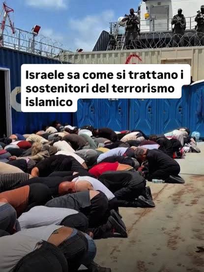 Azzurra Barbuto tweet media