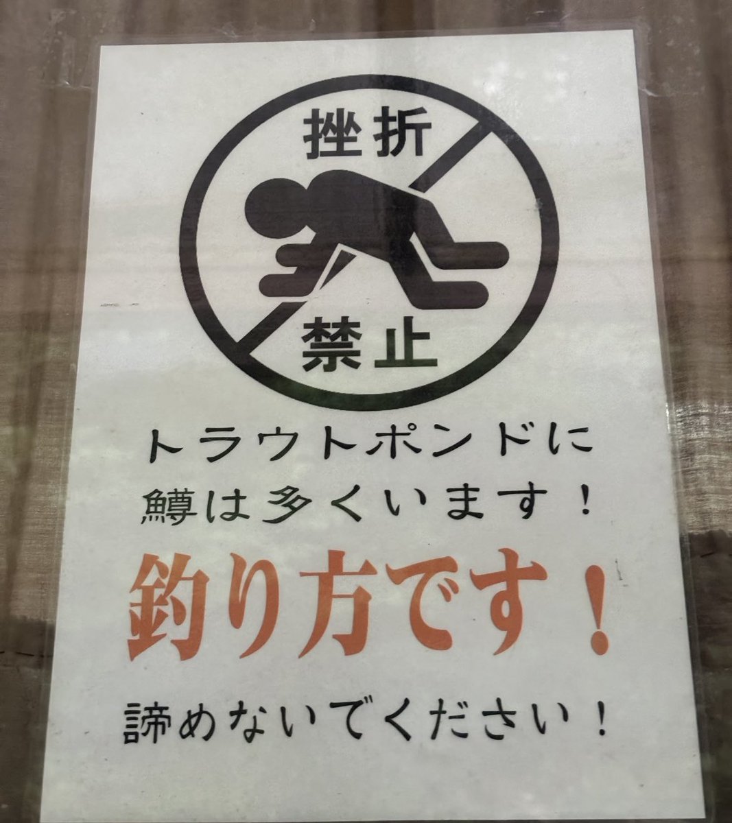 休日のシン.さばとら🐾໊（和楽家グループ） tweet media