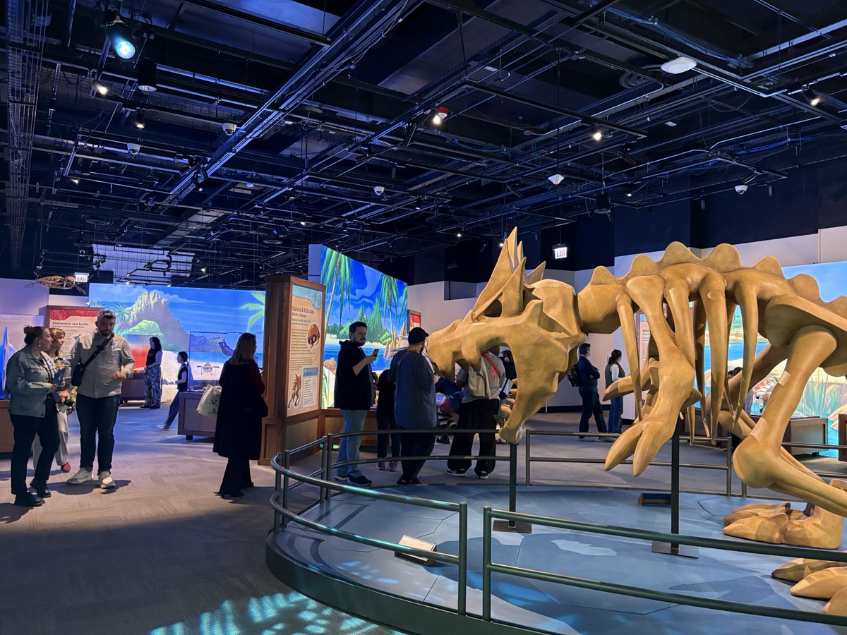 Giodude1580's tweet photo. Photos from the Pokémon field museum experience 

Had a lot of fun and the merch haul was great, so much fun seeing so many pokemon fans #pokemon https://t.co/HK2WFHa5hU