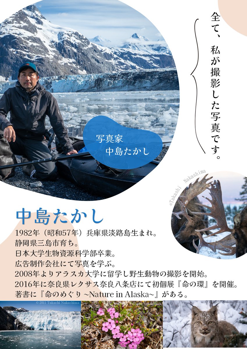 アンカレジ観光局 tweet media