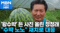 르르 tweet media