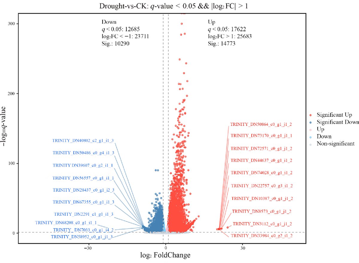 GrassResearch's tweet photo. #GrassResearch #DroughtResistance #PlantScience
🌱Integrated physio &amp; transcriptome reveals drought tolerance mechanisms in Festuca rubra 
@MaximumAcademic 
Details: https://t.co/WdcJEsqSuE https://t.co/CE4RpD7L1J