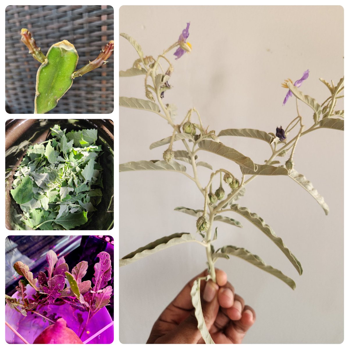 GreerJackson3's tweet photo. Don't resist ugliness. Fight for beauty.
Don't ignore the mundane. Look for significance. 
Don't fear scarcity. Trust, and there will be abundance.

#BlackHomecraft #BlackFood https://t.co/5KSBSfTY0g