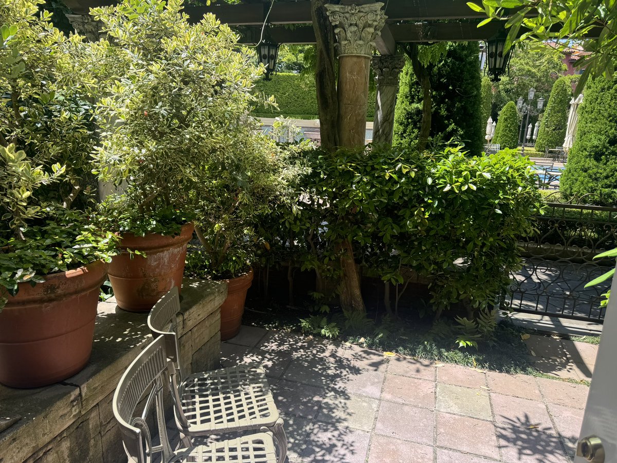 milkywaydriver's tweet photo. そんな私は月火で結婚記念日ディズニー行ってきた🫶
念願のお部屋でした🫶 https://t.co/vOM8ekp0D8