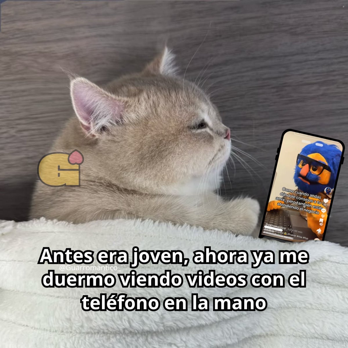El Guarromántico tweet media