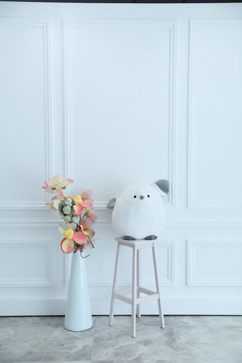 札幌フォトスタジオ📷STUDIO5&66 tweet media