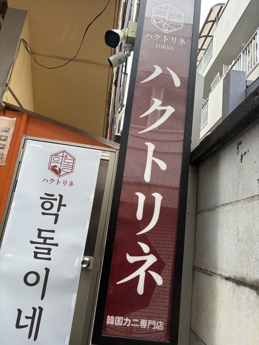 Tmitsunaga's tweet photo. 美味し過ぎたし
逢えて嬉し過ぎたし
ソニは分かってたけど
テフンにも逢えるなんて!
もう一回食べに行こうと画策中🦀
#ハクトリネ
#ケジャン
#RENT2017
#RENT2020 https://t.co/TR57dZoNuA