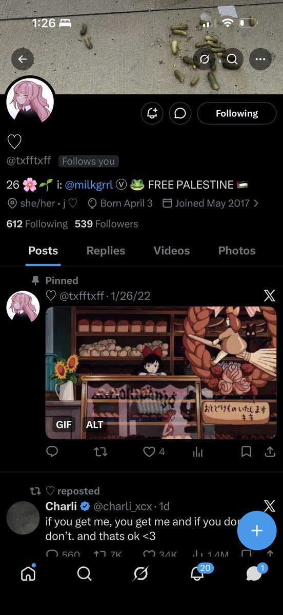 TEMPERANCE ⋆‧°𓏲ּ𝄢 tweet media