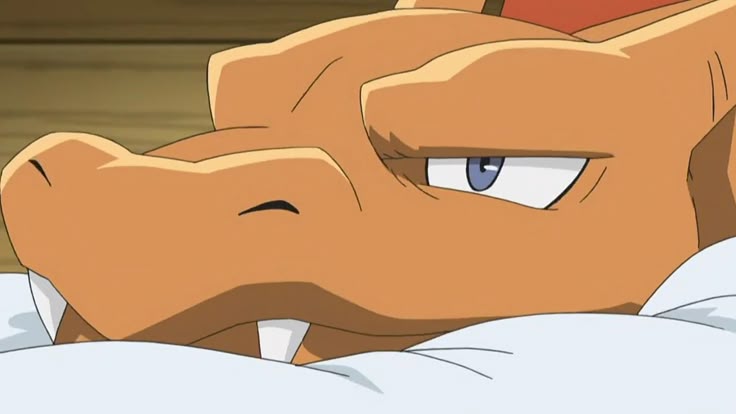 🧡🔥Charizard Semental🔥🧡 tweet media